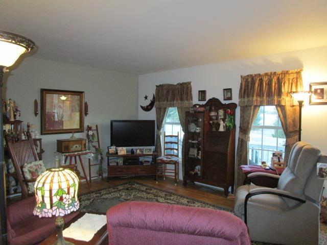 living room featuring wood finished floors