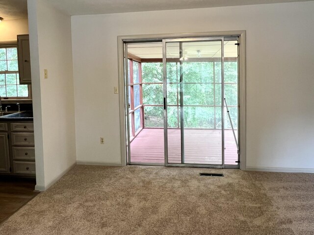 interior space with carpet flooring and sink