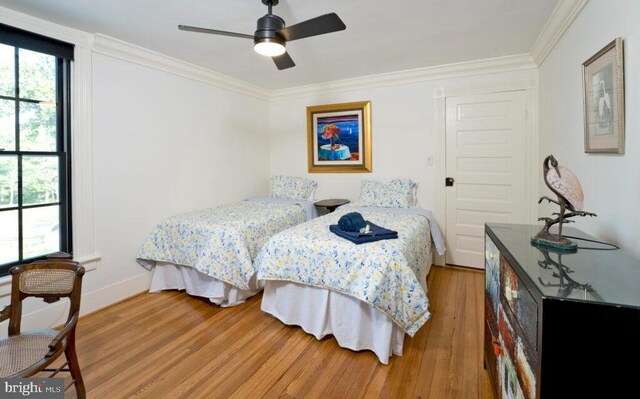 bedroom with baseboards, multiple windows, light wood-type flooring, and crown molding