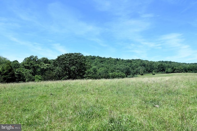 Listing photo 3 for Slate Mills Rd, Sperryville VA 22740