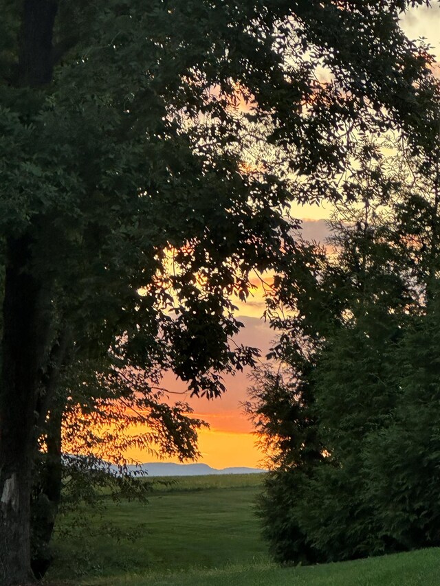 view of nature at dusk