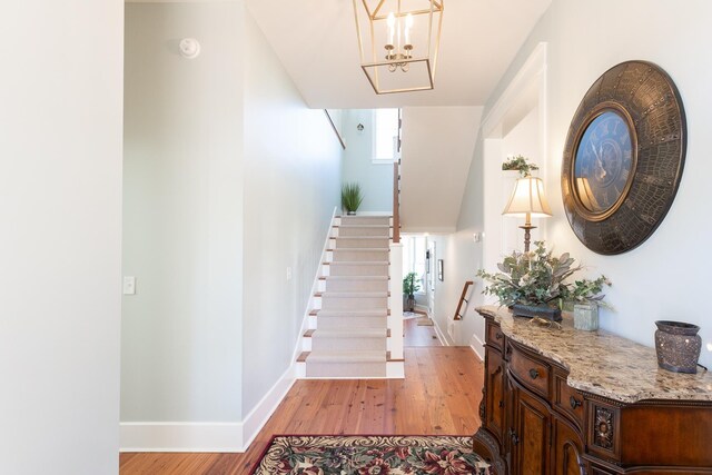 interior space featuring hardwood / wood-style flooring and a healthy amount of sunlight