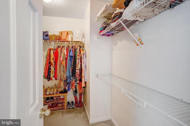 walk in closet with carpet floors