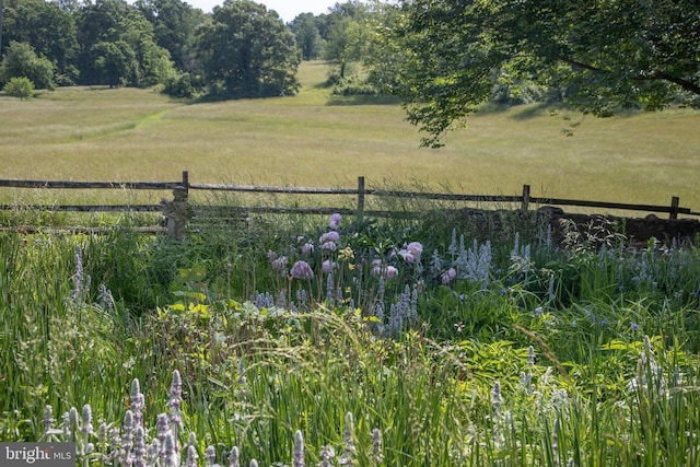 view of yard featuring a rural view