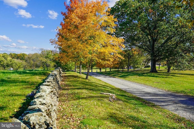 view of property's community with a lawn