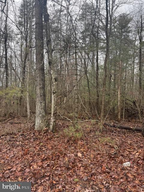 Ridgeview Rd, Reva VA, 22735 land for sale