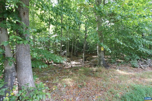 Listing photo 3 for 0 Louisa Rd, Keswick VA 22947