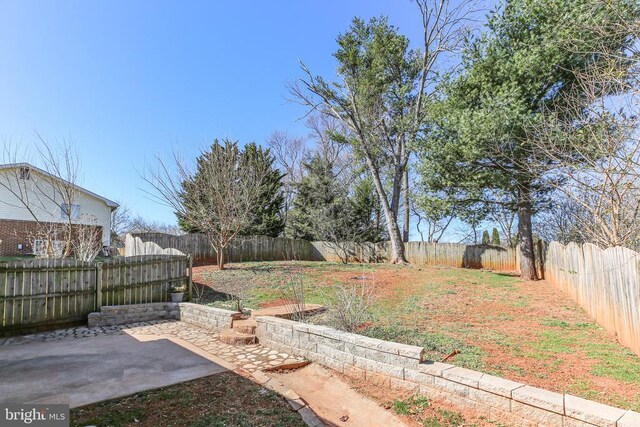 view of yard with a patio and a fenced backyard