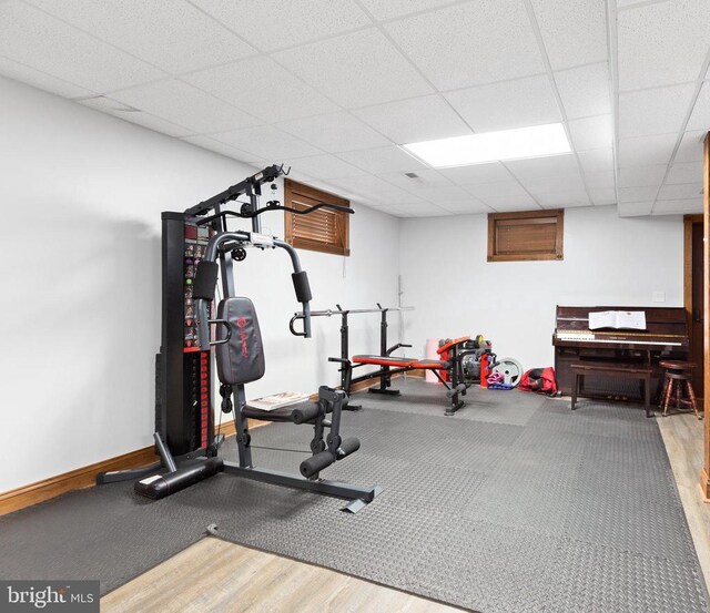 exercise room featuring hardwood / wood-style flooring and a drop ceiling