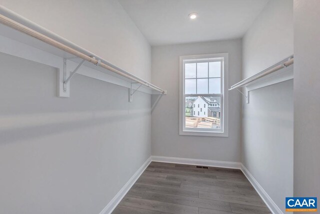 spacious closet featuring dark wood-type flooring