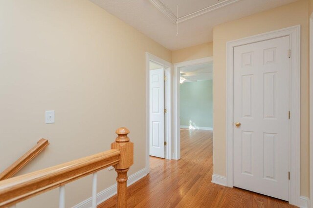 hall with light hardwood / wood-style flooring