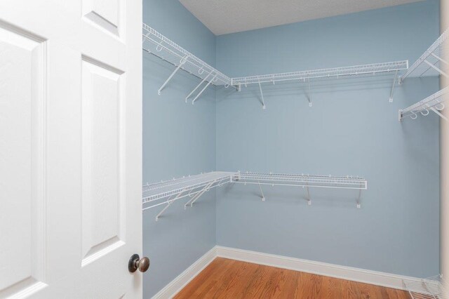 spacious closet with hardwood / wood-style floors