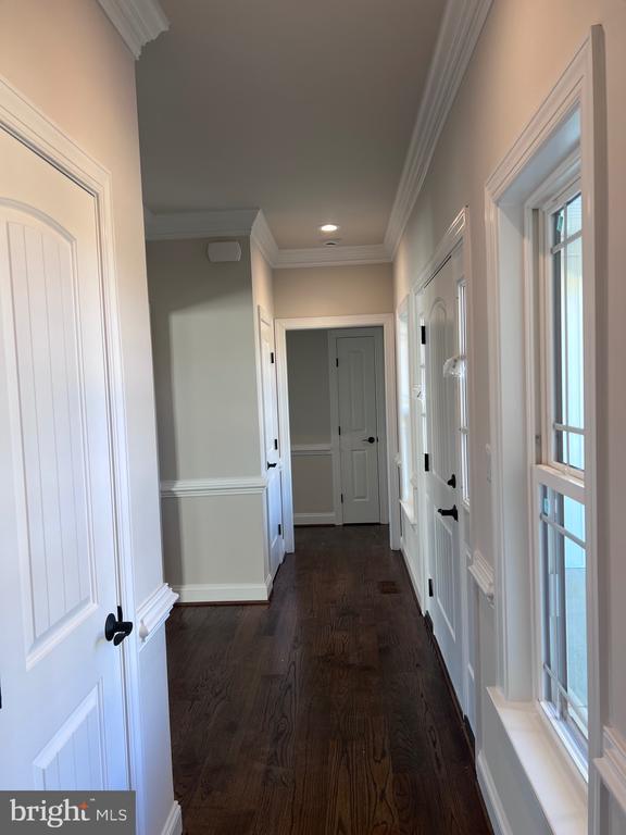 hallway with crown molding and dark hardwood / wood-style floors