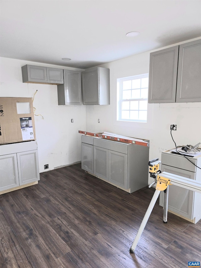 kitchen with gray cabinets and dark hardwood / wood-style flooring