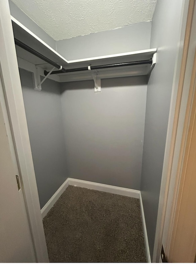 walk in closet featuring carpet floors