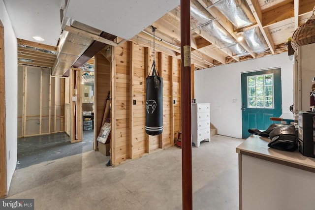 basement with wooden walls