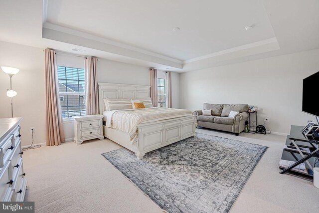 bedroom featuring a raised ceiling and multiple windows