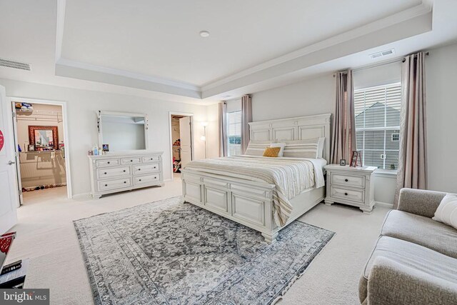 bedroom with crown molding, ensuite bath, and a tray ceiling