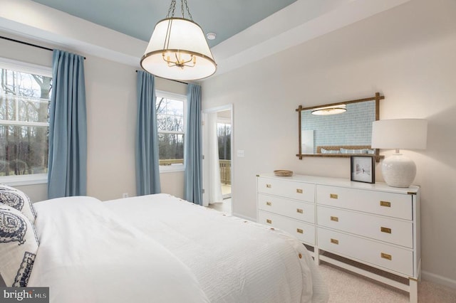 carpeted bedroom featuring a raised ceiling