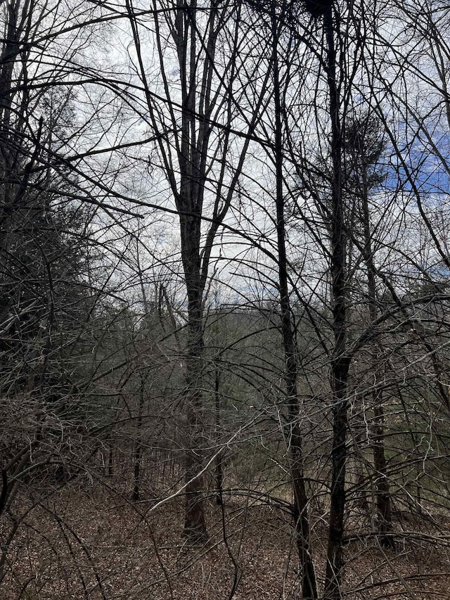 TBD Cold Springs Rd, Raphine VA, 24472 land for sale