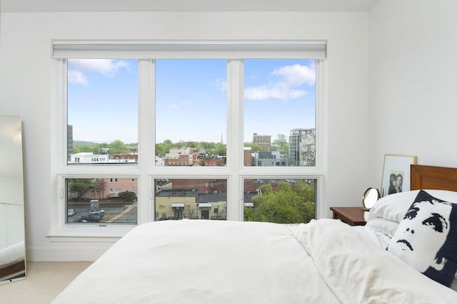 bedroom featuring carpet floors and multiple windows