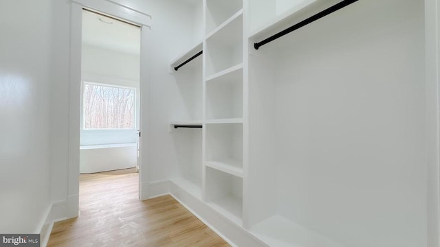 walk in closet with light wood-type flooring