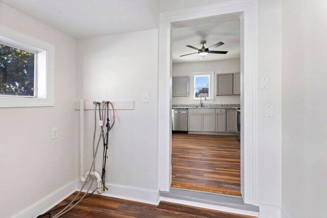 interior space featuring sink and dark hardwood / wood-style floors