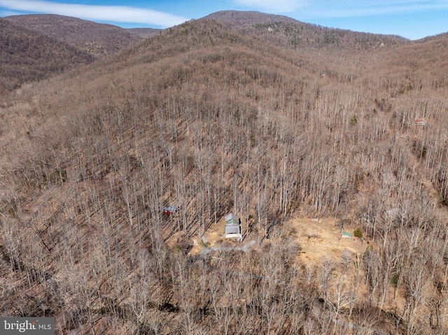 view of mountain feature