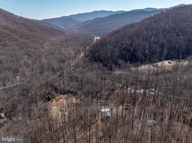 property view of mountains featuring a forest view