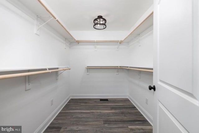 walk in closet with dark wood-type flooring