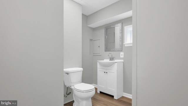 bathroom with vanity, wood-type flooring, and toilet