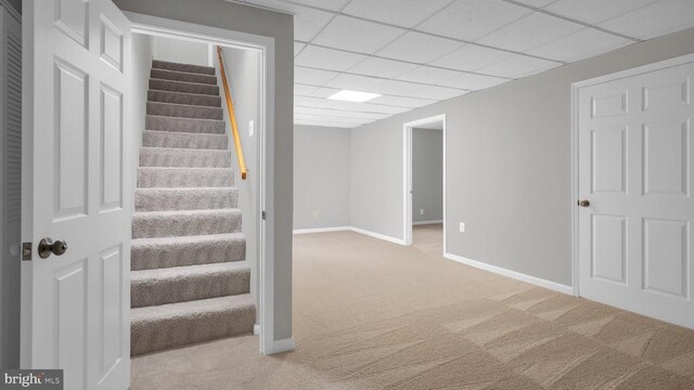 basement featuring light colored carpet and a paneled ceiling