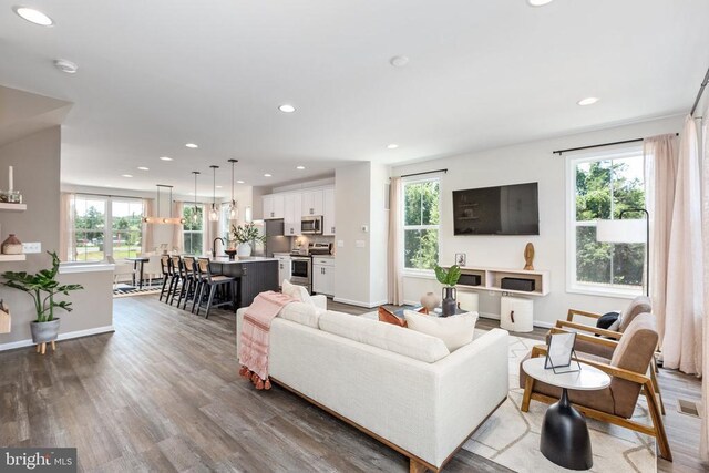 living room featuring hardwood / wood-style flooring and a wealth of natural light