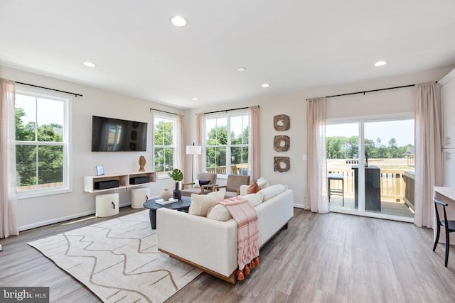 living room with light hardwood / wood-style flooring and plenty of natural light