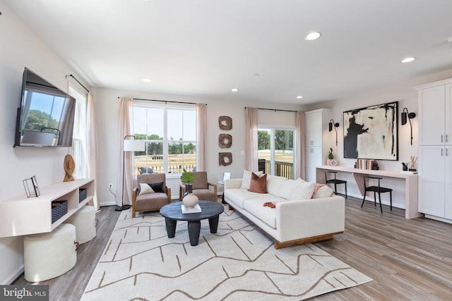 living room featuring light wood-type flooring