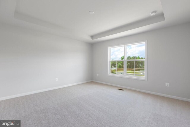 empty room featuring a tray ceiling and light carpet