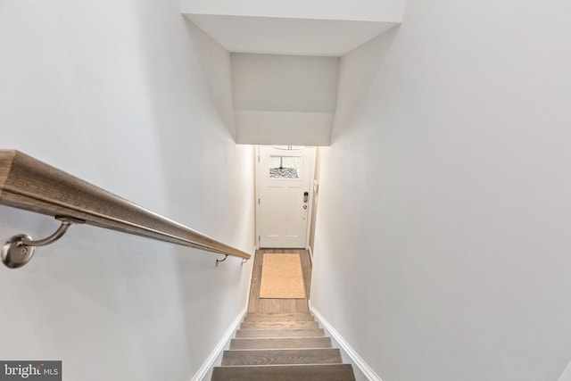 staircase with hardwood / wood-style flooring