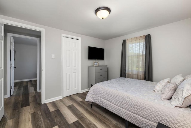 bedroom featuring a closet and dark hardwood / wood-style floors