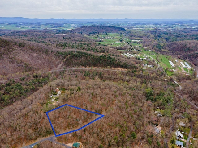 Rabbits Foot Rd, Hinton VA, 22831 land for sale