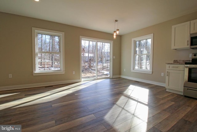 interior space featuring baseboards, plenty of natural light, and dark wood-type flooring