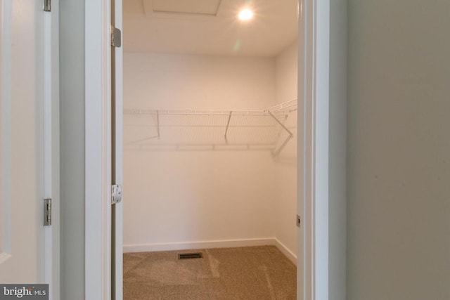 spacious closet with carpet flooring and visible vents