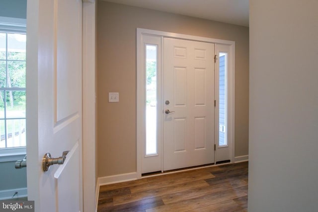 entrance foyer featuring wood finished floors