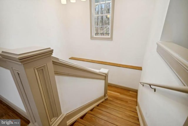 stairs with hardwood / wood-style floors