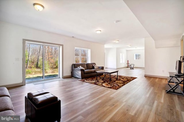 living room featuring light hardwood / wood-style floors