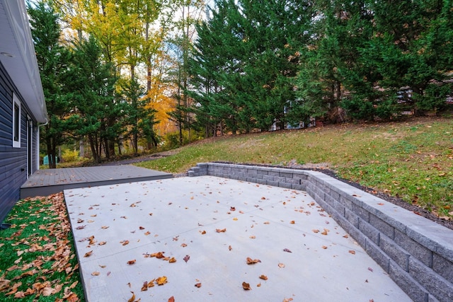 view of yard with a patio