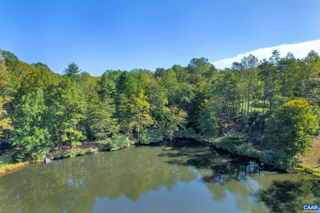 property view of water with a view of trees