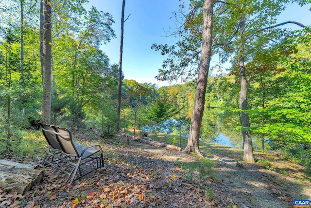 view of yard featuring a view of trees