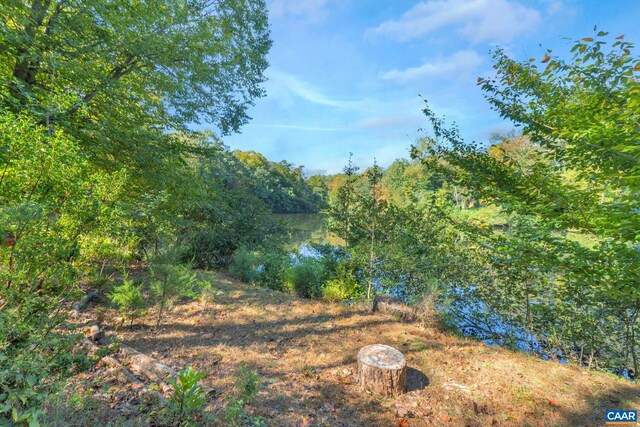 view of local wilderness featuring a forest view and a water view