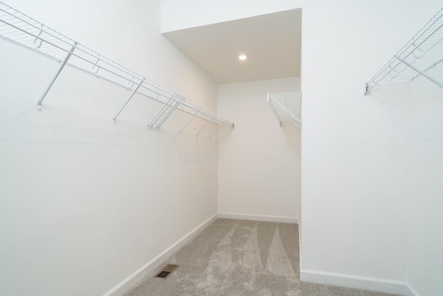 spacious closet featuring carpet flooring