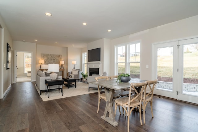 dining room with dark hardwood / wood-style flooring